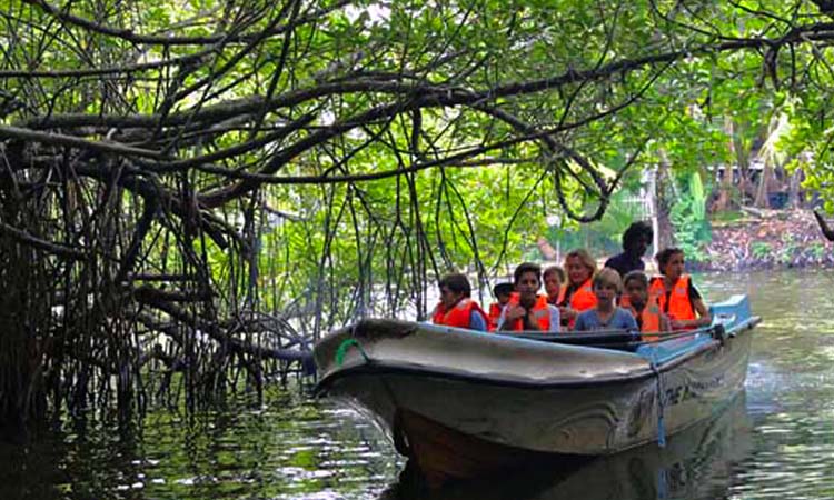 boat ride bentota